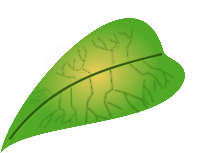 Green leaf Free Vector 