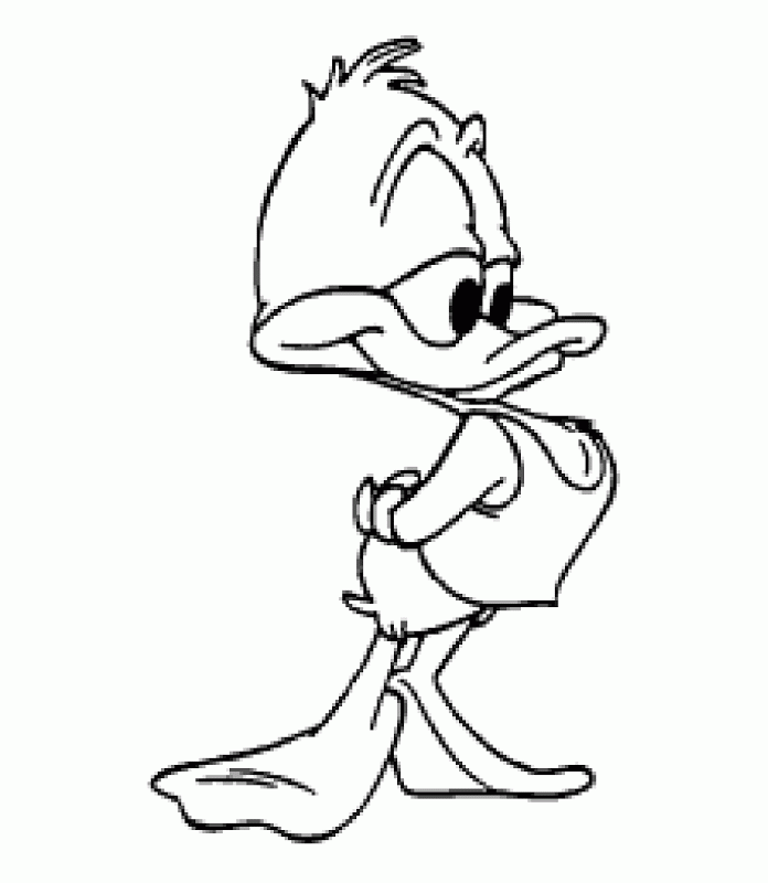 Free Duck Cartoon Pictures, Download Free Duck Cartoon Pictures png images,  Free ClipArts on Clipart Library