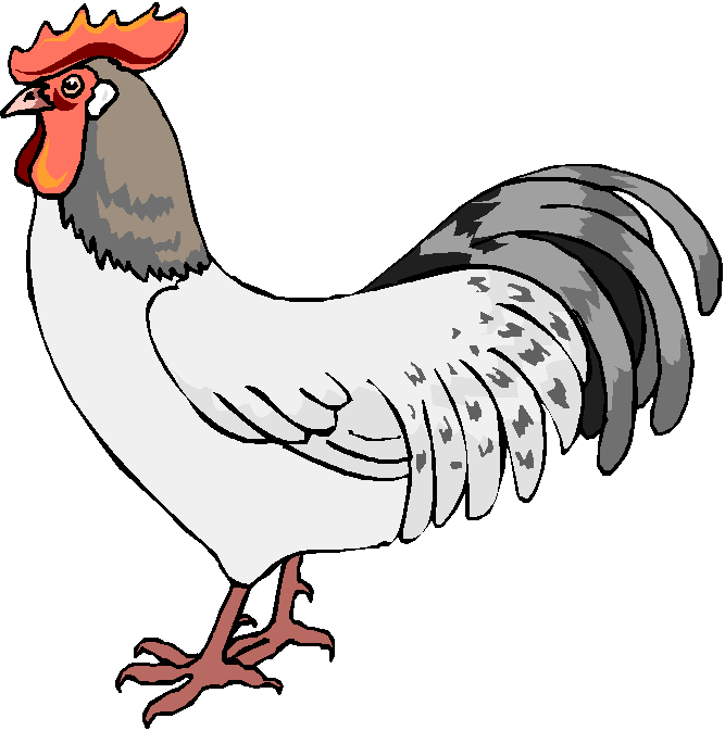 free clipart of a chicken - photo #50