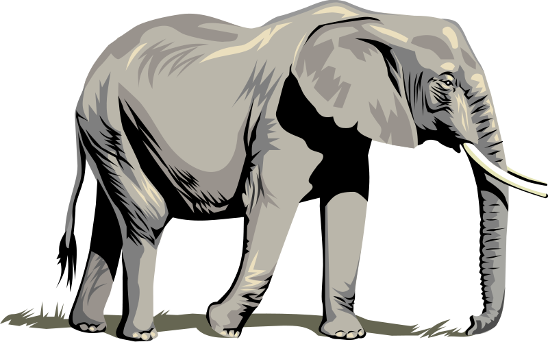 Elephant Clip Art Templates | Clipart library - Free Clipart Images