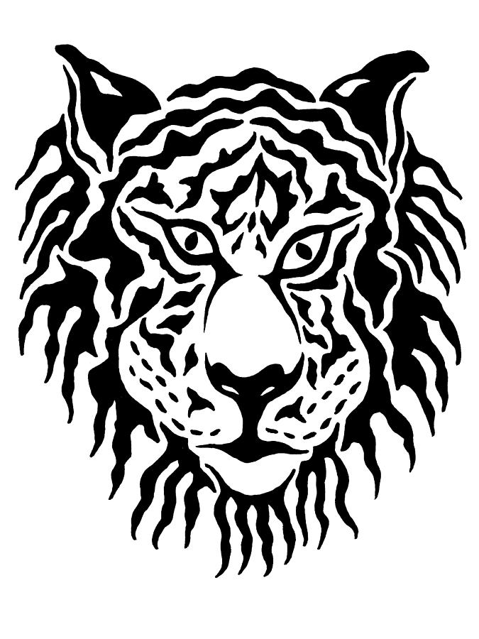 Shaggy Tiger by Beth Akerman - Shaggy Tiger Drawing - Shaggy Tiger 