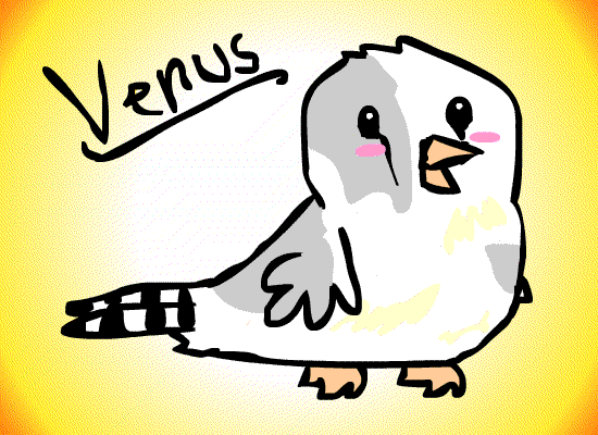 Chibi Zebra Finch Cycle: Venus by Phoenix-of-Starlight on Clipart library