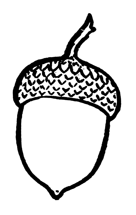 Acorn Silhouette | Clipart library - Free Clipart Images