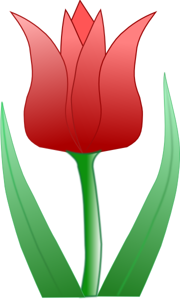 Tulip clip art - vector clip art online, royalty free  public domain