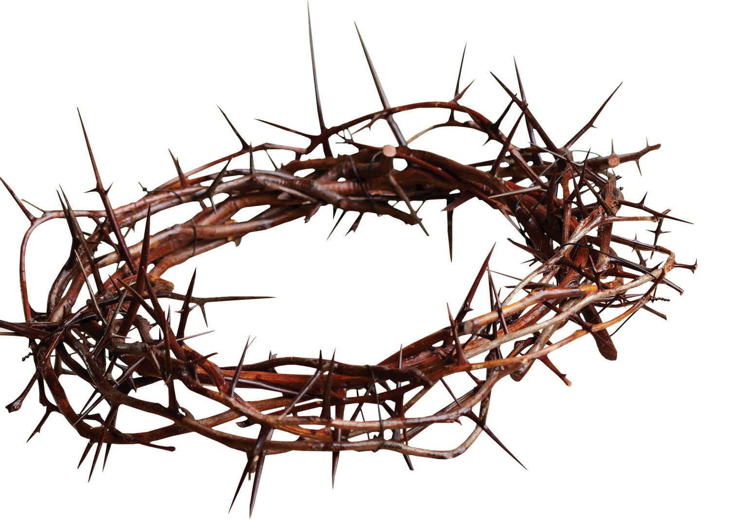 Thorns Free Christian Twitter Background C28com - Clipart library 
