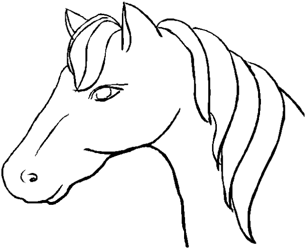 Animal Stronger Horse Head Coloring To Print | Cartoon Coloring Pages