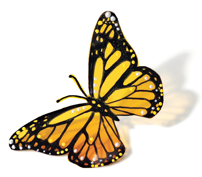 How to make a pretty monarch butterfly - Canadian Living