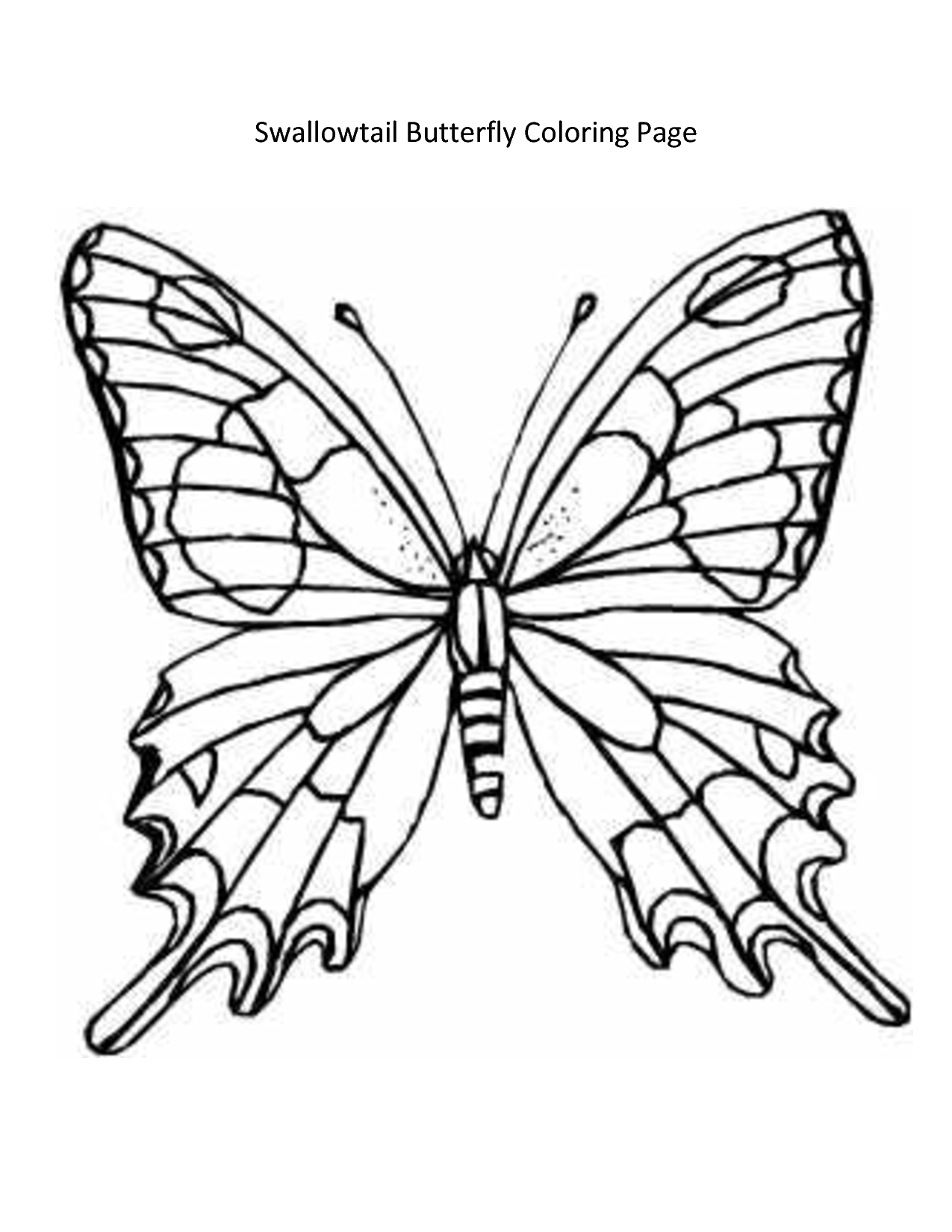 Images For  Butterfly Wing Template