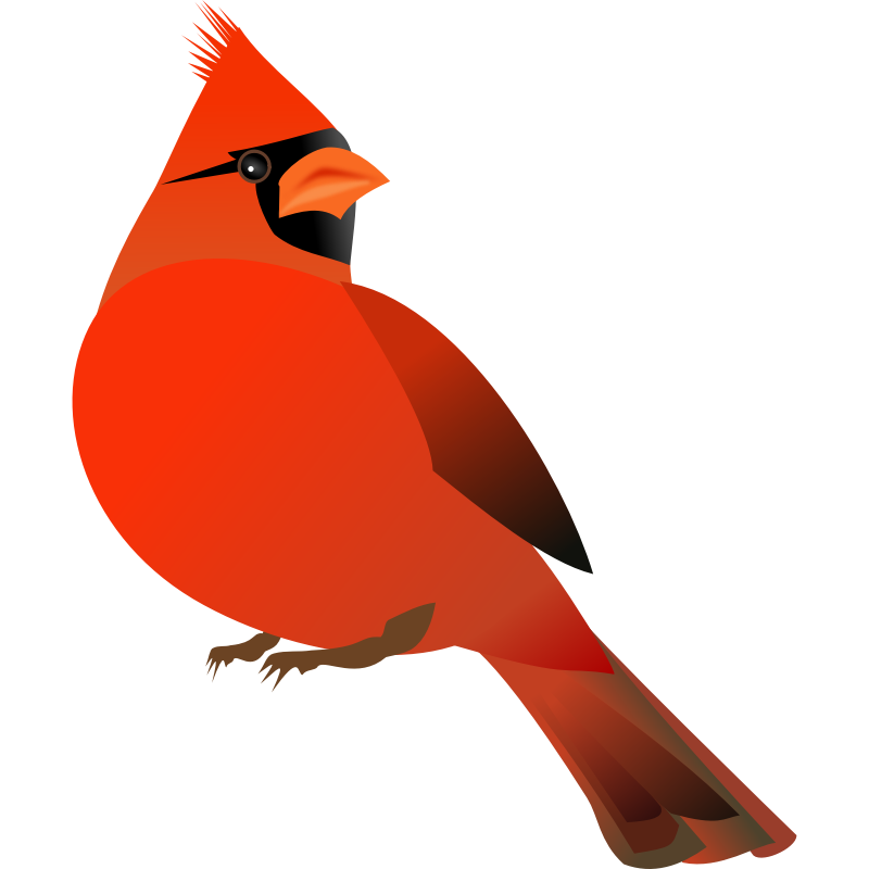 Free Cartoon Cardinal Bird Download Free Clip Art Free Clip Art On Clipart Library