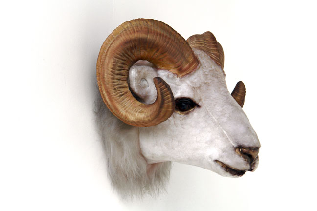 Free Ram Head, Download Free Ram Head png images, Free ClipArts on Clipart  Library