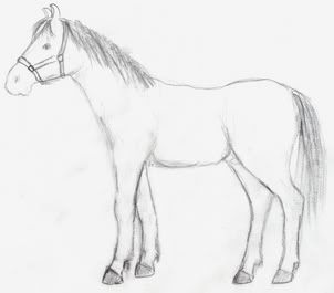 easy pencil drawings of horses