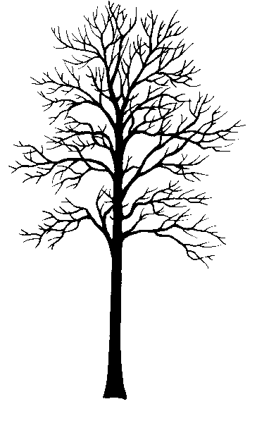 Silhouette - tulip-tree | Trees | Clipart library