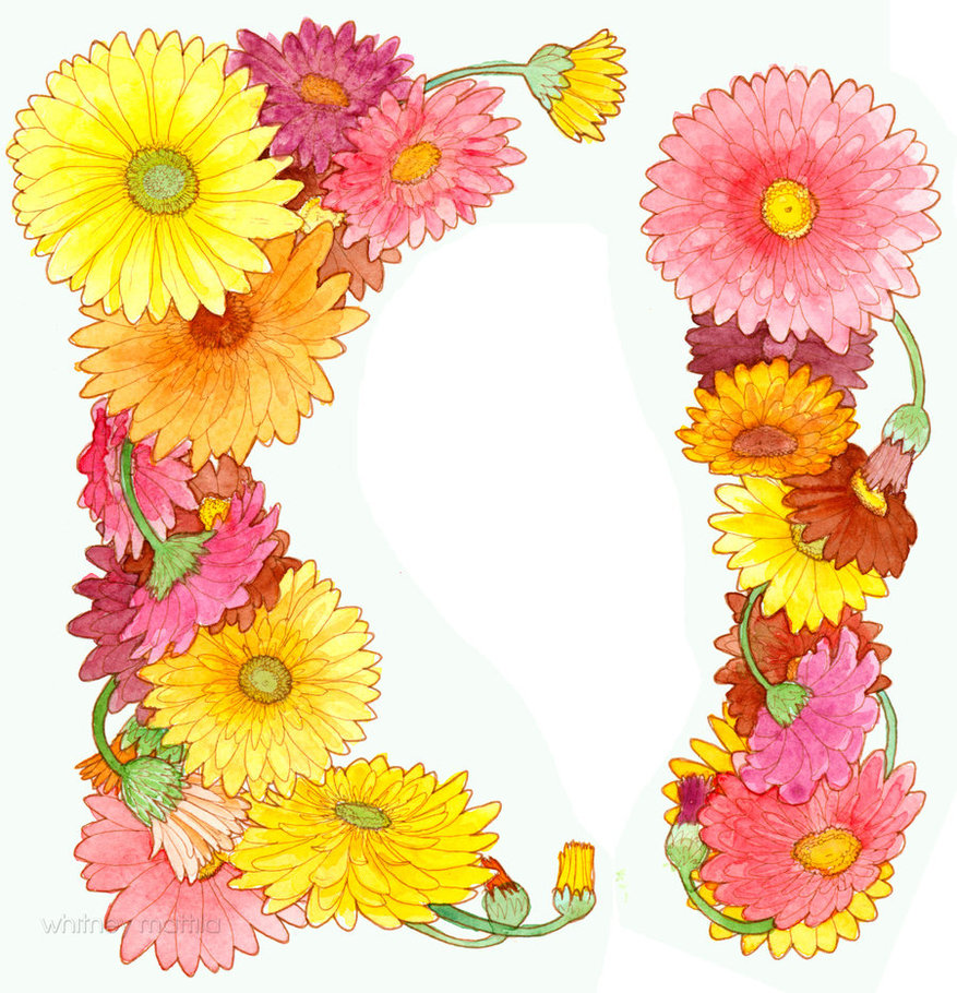 Floral Border by matildarose on Clipart library