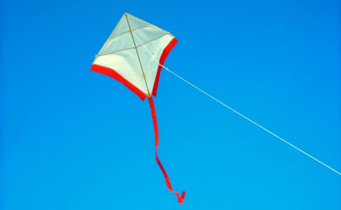 Gonbo Kite at Kites in the Sky