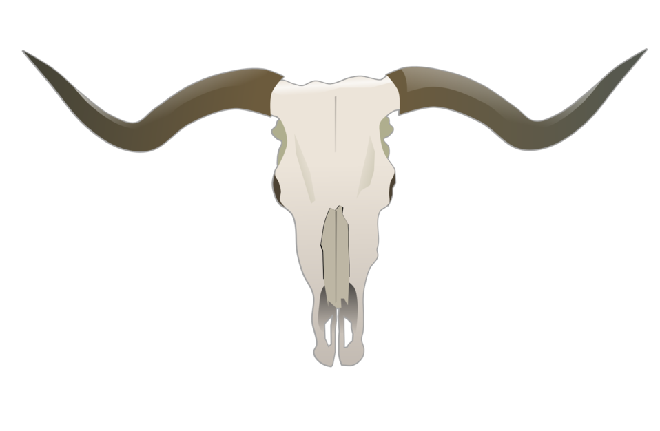 Public Domain Clip Art Image | Longhorn Skull | ID: 13927371617409 