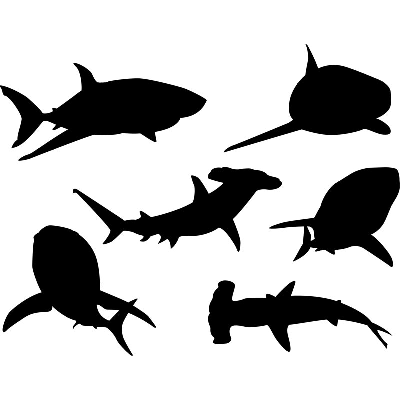 Download Shark Silhouette Clip Art Clip Art Library SVG, PNG, EPS, DXF File