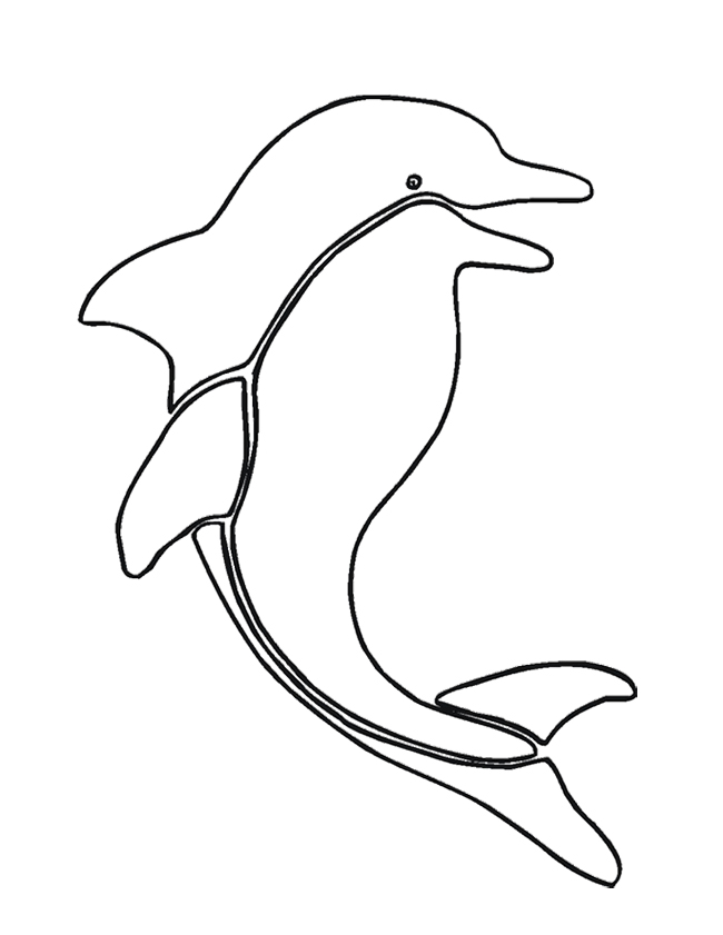 The-Dolphin-Is-Very-Happy- 
