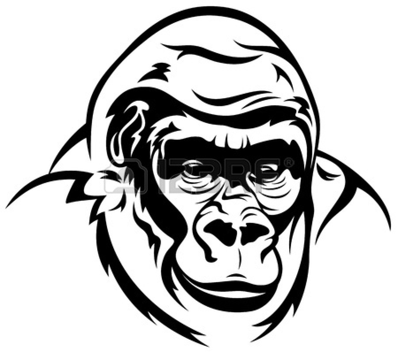 Images For  Angry Gorilla Face Clip Art