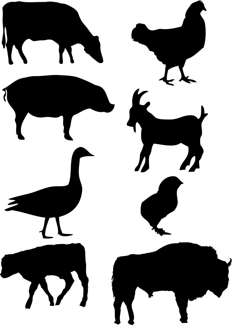 Download Free Farm Animal Silhouette Vector Download Free Clip Art Free Clip Art On Clipart Library PSD Mockup Templates