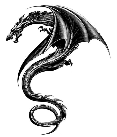 The Girl with the Dragon Tattoo: Tattoo Design 2 - graphic art 