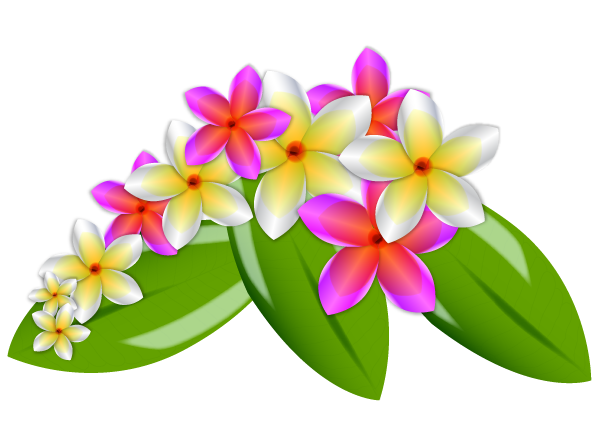 plumeria vector flowers