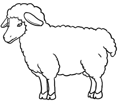 How to Draw Sheep: 9 Steps (with Pictures) - wikiHow