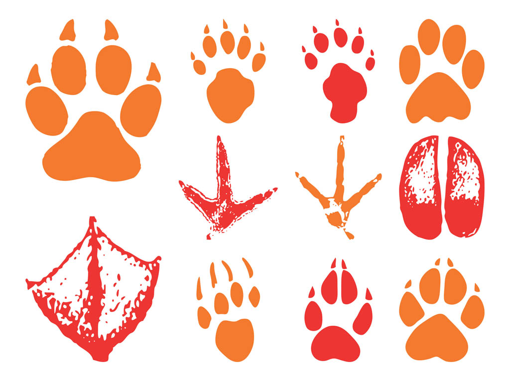 Free Animal Footprints Printable