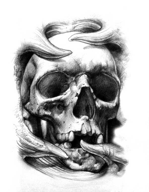 Free Skull Tattoo Design, Download Free Skull Tattoo Design png images