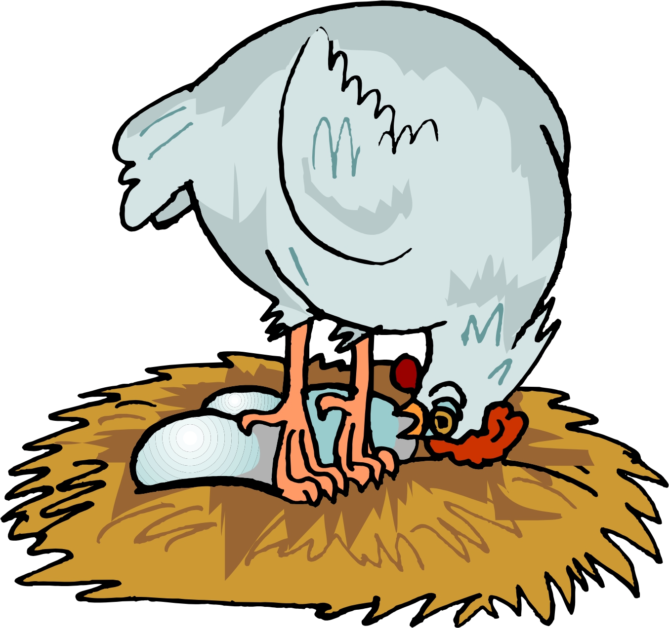 Cartoon Chicken Pictures - Clipart library