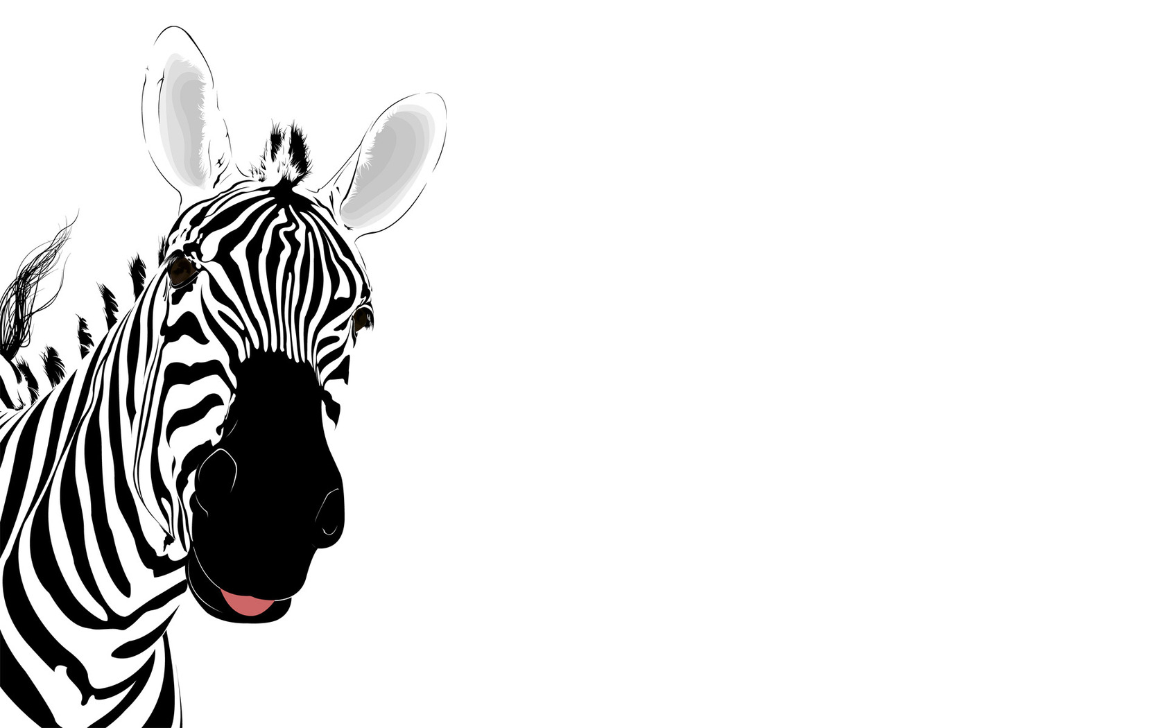 Zebra Wallpaper - Clipart library