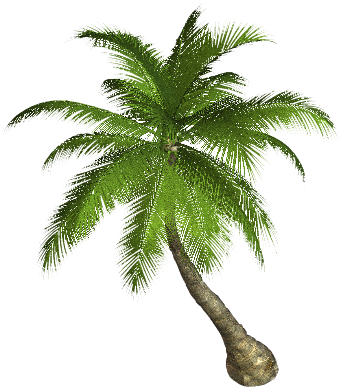 Free High Resolution graphics and clip art: palm tree png