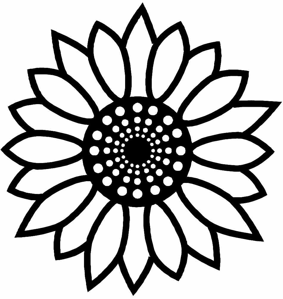 large sunflower coloring page Clip Art Library