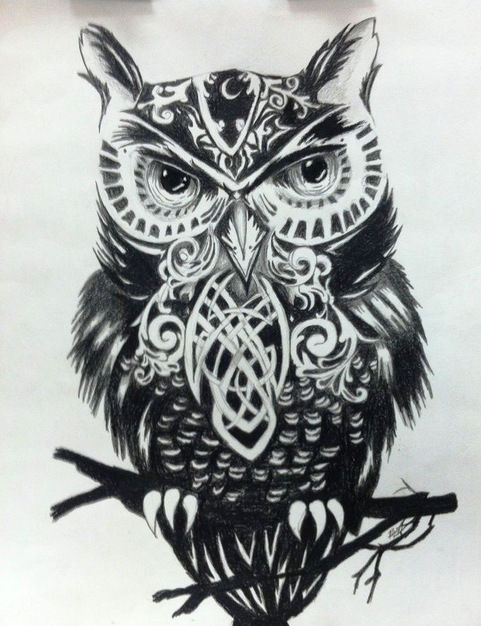 black  white owl | tattoo | Clipart library