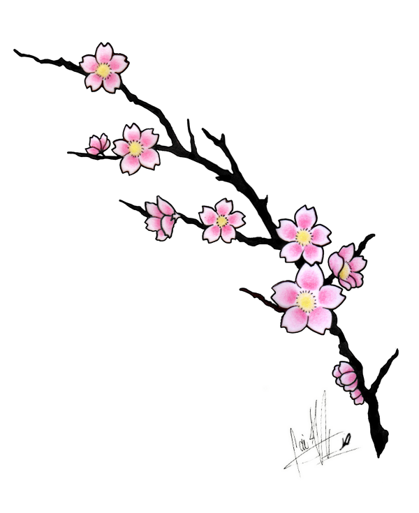 cherry blossom doodle