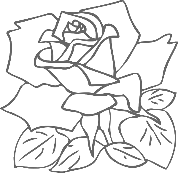 Free Roses Outline Download Free Clip Art Free Clip Art On Clipart Library