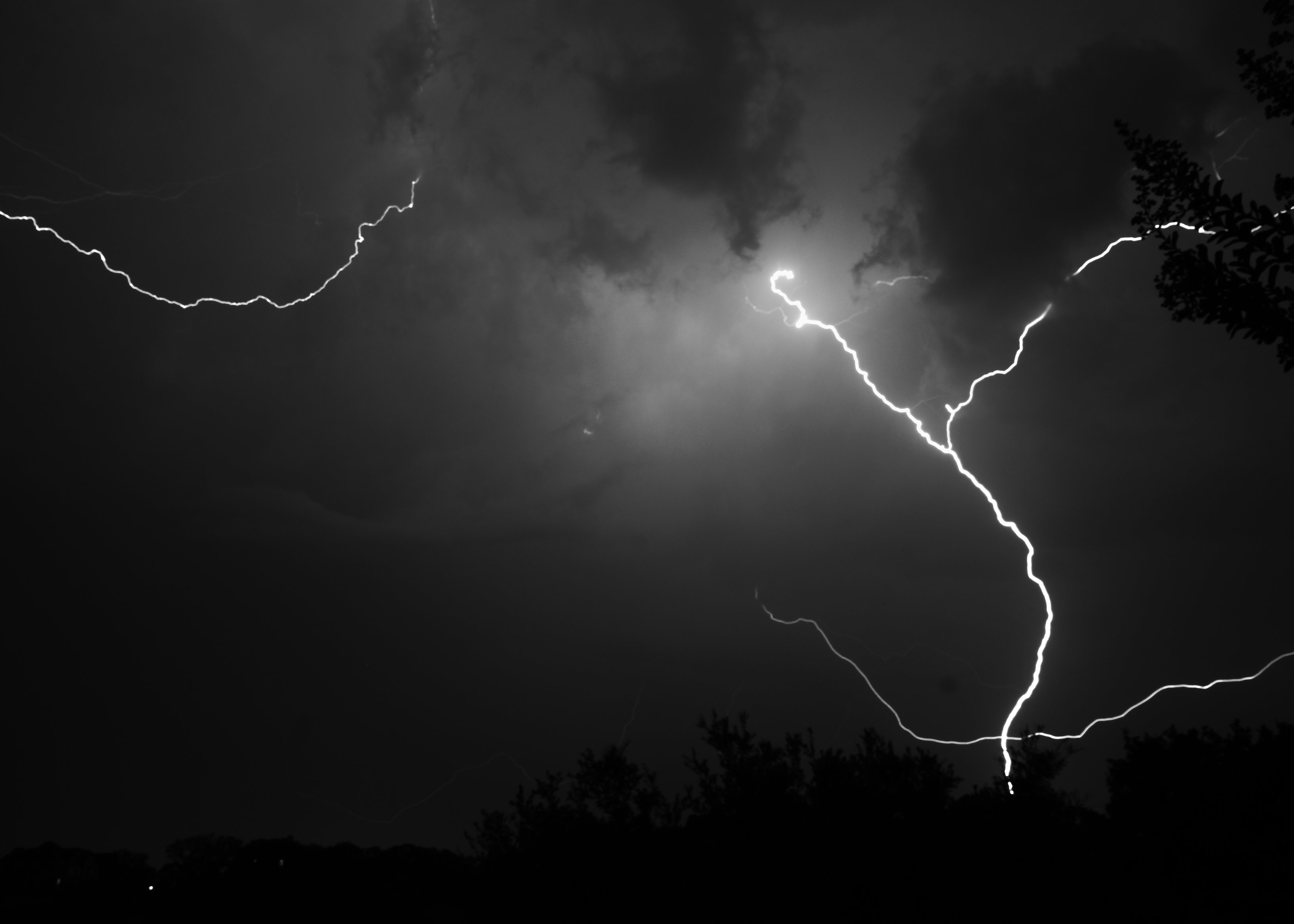 File:Longhorndave - Lightning (by) - Wikimedia Commons