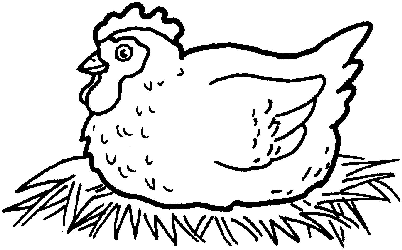 poultry coloring pages