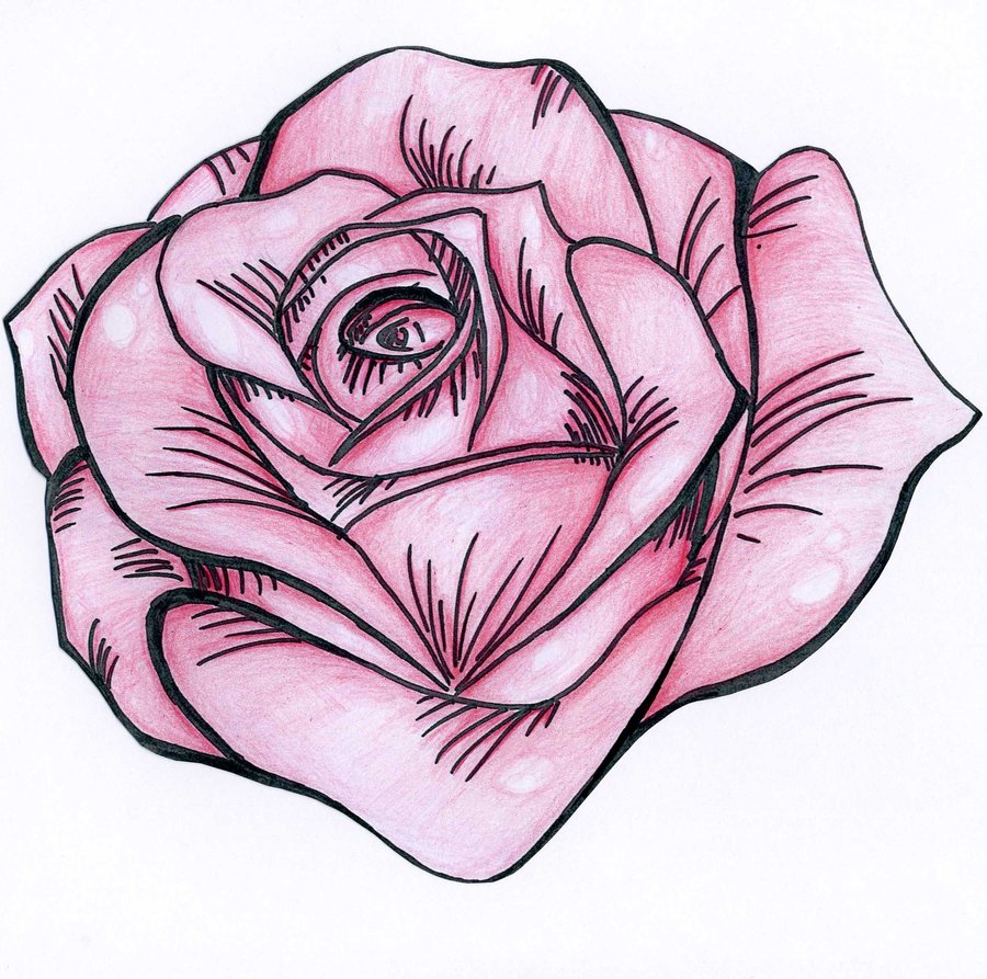 Pink Rose Cartoon Drawing