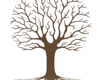 Popular items for signature tree 