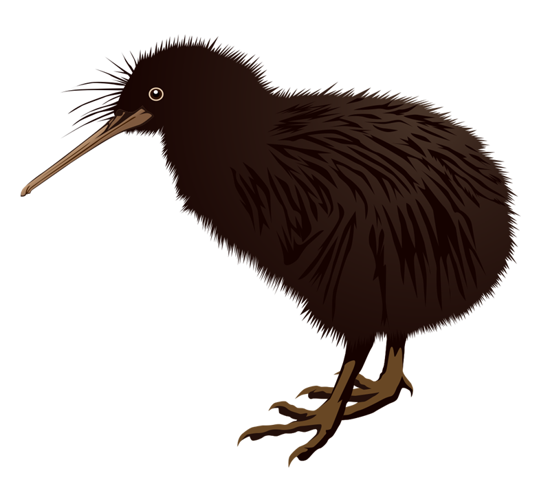Free Kiwi Bird Clip Art