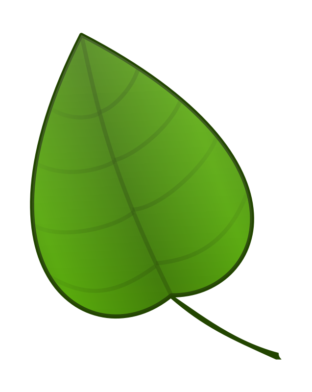 Green Pumpkin Leaf Clipart