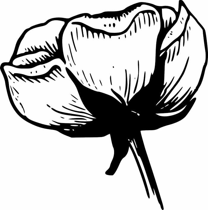Flowers clip art black and white | Free Reference Images
