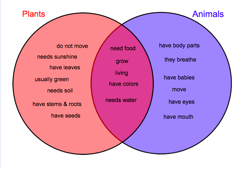 Free Animal Cell Unlabeled, Download Free Clip Art, Free Clip Art on