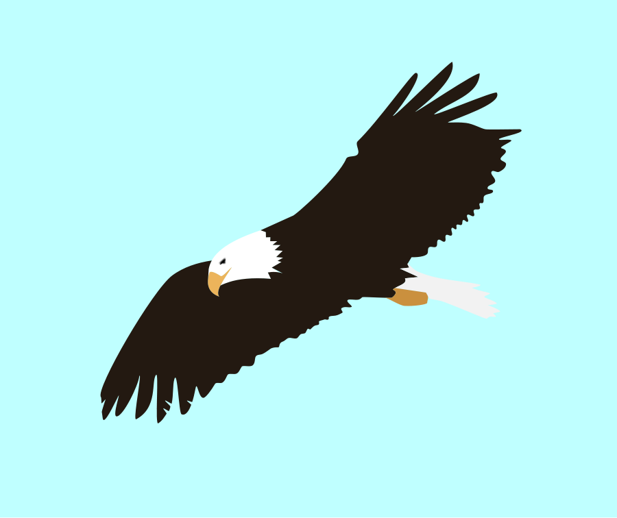 Eagle Clipart, vector clip art online, royalty free design 