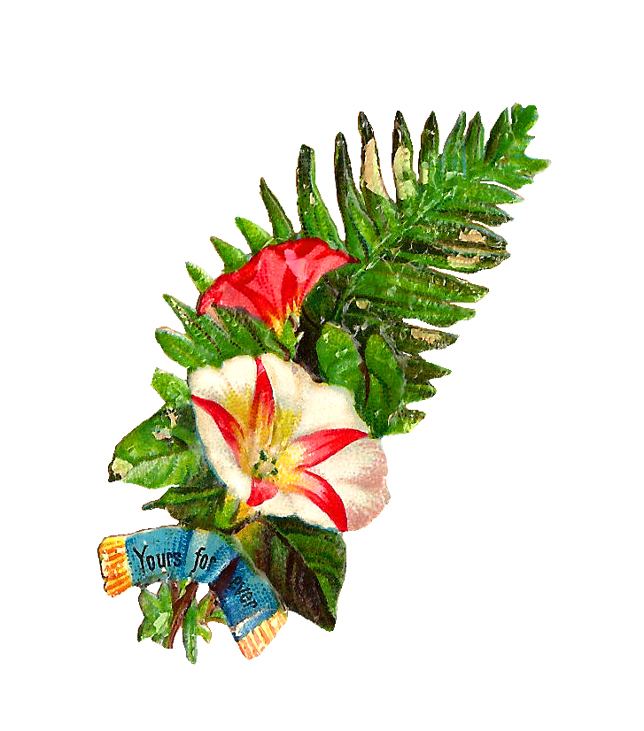 Antique Images: Free Flower Clip Art: Graphic of Flower Bouquet 