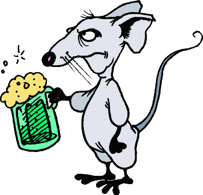 Diet of fancy rat