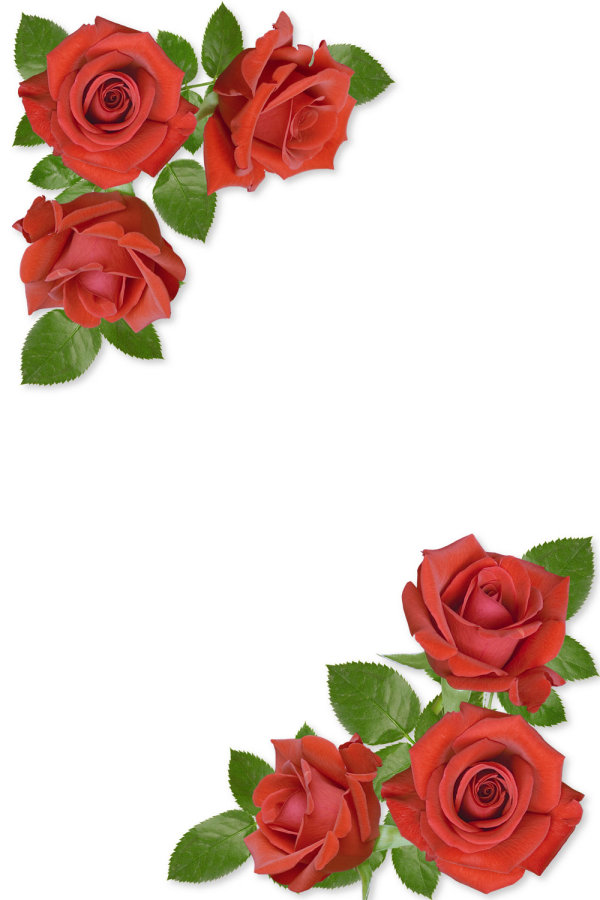 clipart rose border