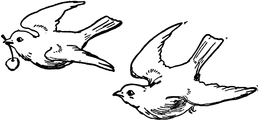 birds in flight coloring pages