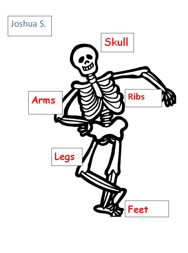 Label the Skeleton Bones | K-5 Computer Lab