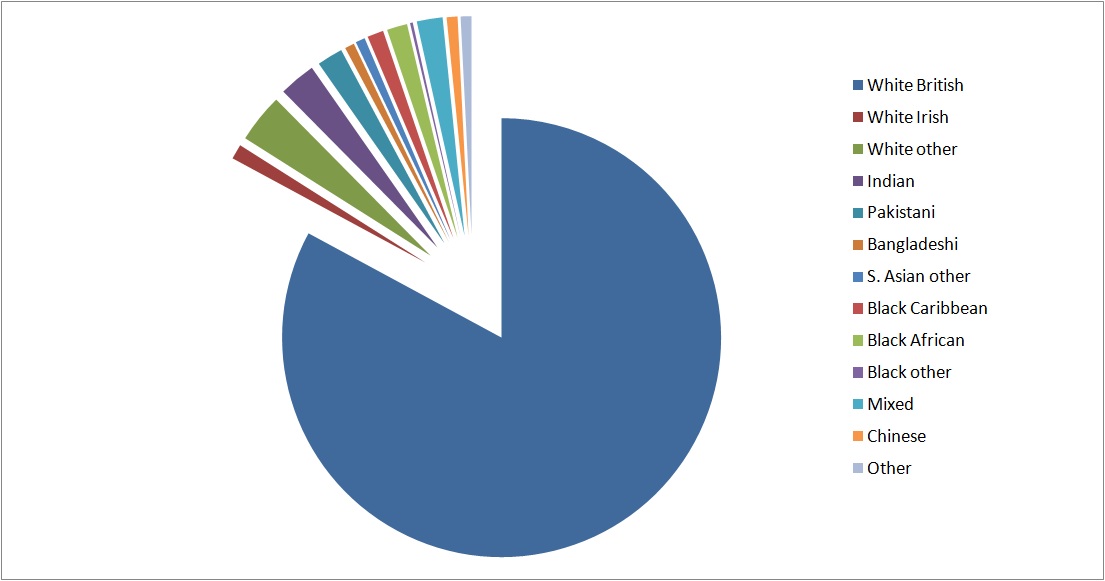 Ethnic Groups In Afghanistan Pie Chart